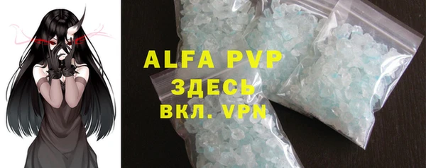 ГАЛЛЮЦИНОГЕННЫЕ ГРИБЫ Богданович