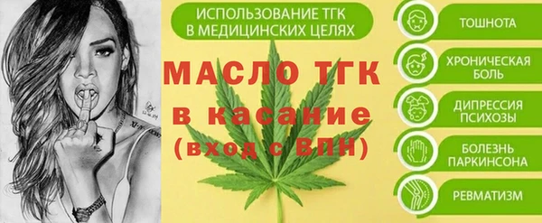 гашик Богородицк