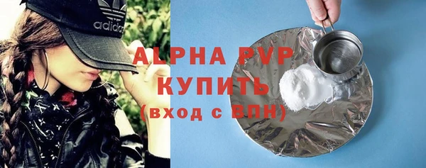 ГАЛЛЮЦИНОГЕННЫЕ ГРИБЫ Богданович