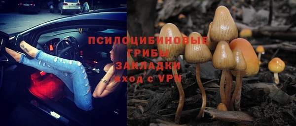 ГАЛЛЮЦИНОГЕННЫЕ ГРИБЫ Богданович
