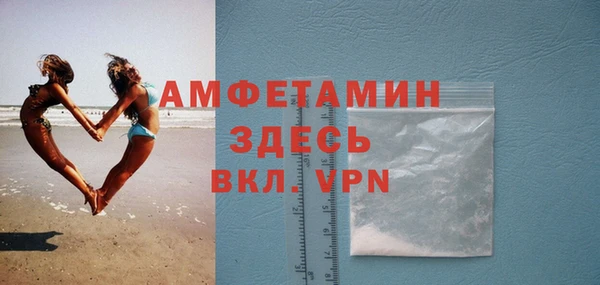 ГАЛЛЮЦИНОГЕННЫЕ ГРИБЫ Богданович