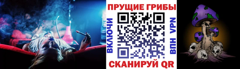 Галлюциногенные грибы Psilocybe  Котельники 
