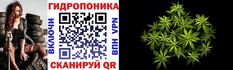 Конопля гибрид  OMG рабочий сайт  darknet наркотические препараты  Котельники 